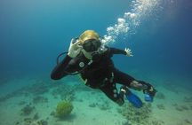  Discover the Depths: Aqaba's Ultimate private Dive Experience