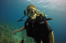 Private Intro Scuba Dive – Aqaba Coral Reefs
