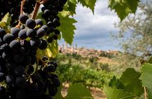 Two Wine Tastings and Visit to a Historic Cellar Inside Old Walls of Montalcino