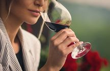 Two Wine Tastings and Visit to a Historic Cellar Inside Old Walls of Montalcino