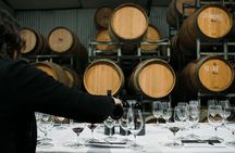 Two Wine Tastings and Visit to a Historic Cellar Inside Old Walls of Montalcino