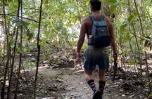 Honeymoon Beach Eco Hike and Snorkel