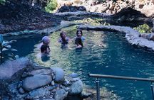 Waterfall swim and Hiking Tour at Volcano Rincon de la Vieja