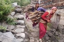 Guided Village walk with Stories in Dharamsala
