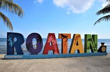 Roatan Excursion: Sloths and monkey hang out /Chocolate & Rum C.