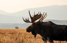 Grand Teton Full Day Private Tour