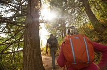 Grand Teton Full Day Private Tour
