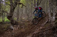 Mountain Bike Adventure in Punta Arenas