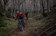 Mountain Bike Adventure in Punta Arenas