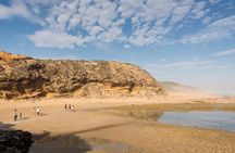 Mornington Peninsula Gourmet Full-Day Private Tour 