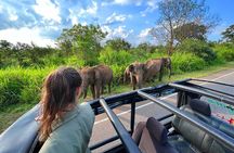 Sri Lanka Travel in 08 Nights 09 Days