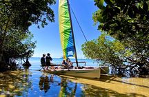 Half-Day Private Guided Sailing Adventure of Miami's Biscayne Bay