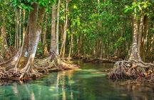 Vam Sat Mangrove Forest - VIP Private Tour