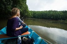 Vam Sat Mangrove Forest - VIP Private Tour