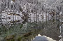 Private DayTour - Pearl Lakes Kolsai & Kaindy (Flooded Forest) via Charyn Canyon