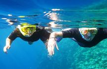 Intro Diving for Beginners in Hurghada with Pick-up and Lunch