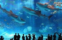 Intro Diving for Beginners in Hurghada with Pick-up and Lunch