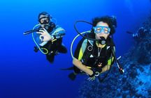 Intro Diving for Beginners in Hurghada with Pick-up and Lunch