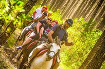 Horse Riding around Titreyengol and Sorgun Pine Forest from Side