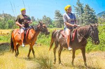 Horse Riding around Titreyengol and Sorgun Pine Forest from Side