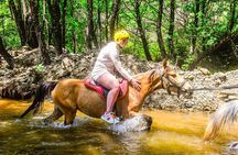 Horse Riding From Fethiye