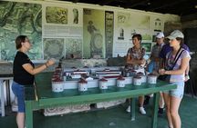 Private Day Tour to UNESCO site Felix Romuliana