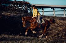 1-Hour Small-Group Horseback Riding Guided Activity from Ljubljana