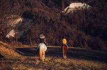 1-Hour Small-Group Horseback Riding Guided Activity from Ljubljana