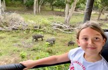 Private Day Tour in Yala National Park with Lunch