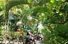  Zipp Line + Animal Sanctuary +ATVs city walk + Rum & Chocolate Factory