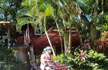  Zipp Line + Animal Sanctuary +ATVs city walk + Rum & Chocolate Factory
