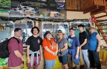  Zipp Line + Animal Sanctuary +ATVs city walk + Rum & Chocolate Factory
