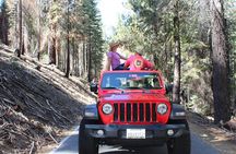 Jeep 4 X 4 Yosemite Park Tour with Hotel Pickup
