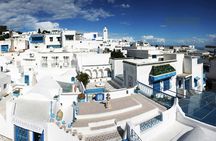 Tunis Group Tour: Carthage, Sidi Bou Said, Bardo museum & Medina