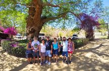 Artisans Town and Agave Distilled Factory