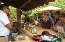Artisans Town and Agave Distilled Factory