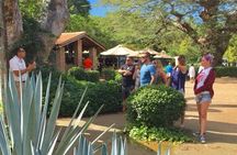 Artisans Town and Agave Distilled Factory