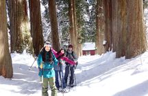  Nagano Snowshoe Hiking Tour