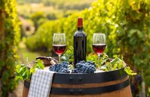 Private Top Award-Winning Cape Wine Tasting Full Day Tour