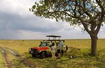 4 Days Tanzania Budget Safari