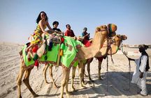 Camel trekking on the Dunes with Sunset