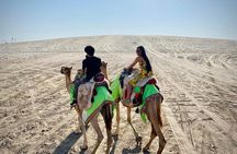 Camel trekking on the Dunes with Sunset