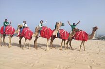 Camel trekking on the Dunes with Sunset