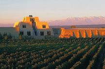 Catena Zapata Winery, Lunch and Private Transportation