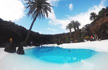 Grand Tour to Timanfaya and Jameos del Agua for cruise passengers