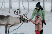 Family day: Reindeer, Husky and Snowmobiling in Levi