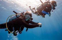 Discover Scuba Diving in Montego Bay-TWO Tank (First time Diving)