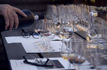 BA: Small group Argentinian Wines and Malbec Tasting in Palermo 