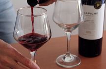 BA: Small group Argentinian Wines and Malbec Tasting in Palermo 
