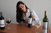 BA: Small group Argentinian Wines and Malbec Tasting in Palermo 